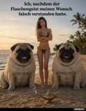 Dicke Mpse